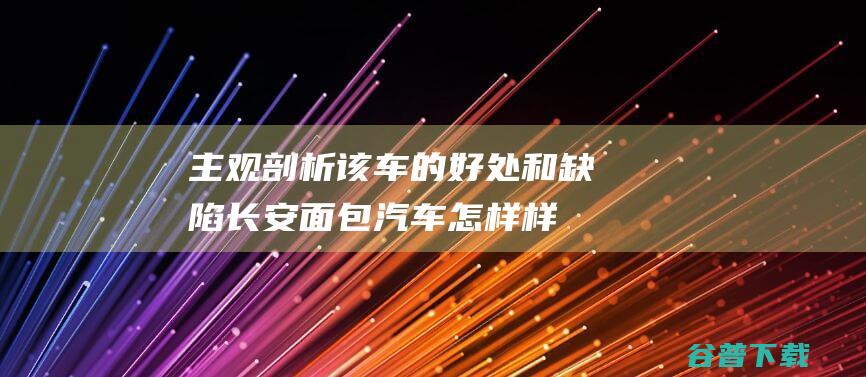 主观剖析该车的好处和缺陷 长安面包汽车怎样样 (主观原因剖析)